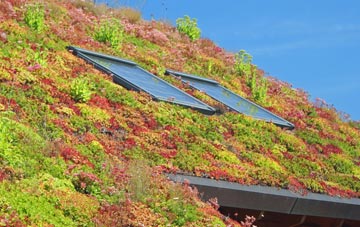 Betchcott living roof systems