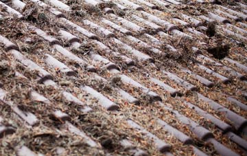 Betchcott roof cleaning companies