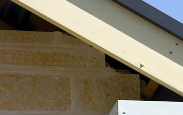 soffit repair Betchcott